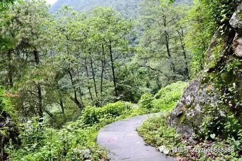 黄金矿工海底版